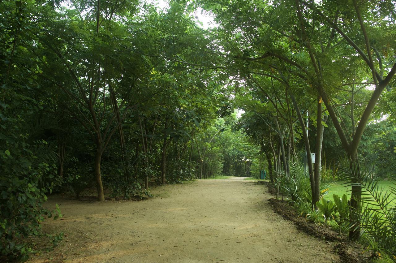 The Riverwood Forest Retreat Pench Khawāsa Екстериор снимка