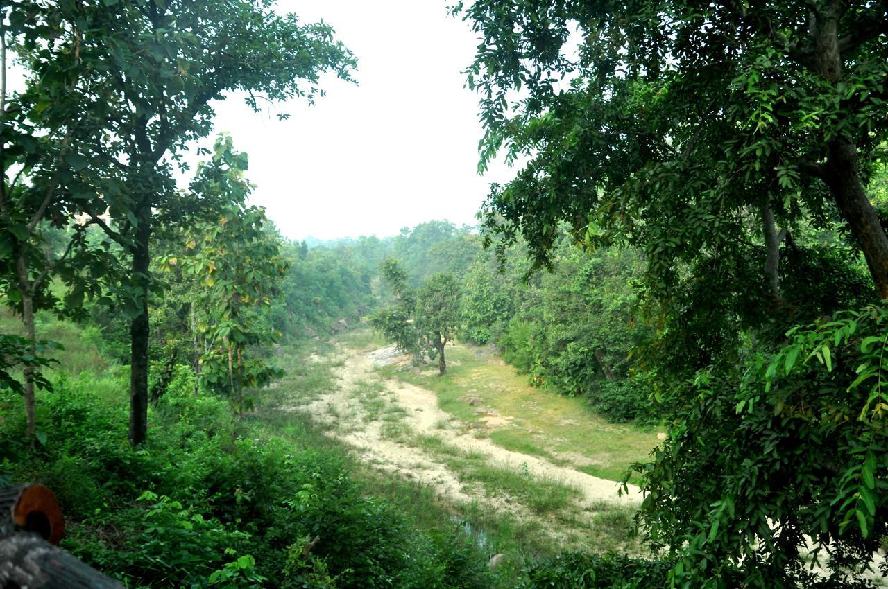 The Riverwood Forest Retreat Pench Khawāsa Екстериор снимка