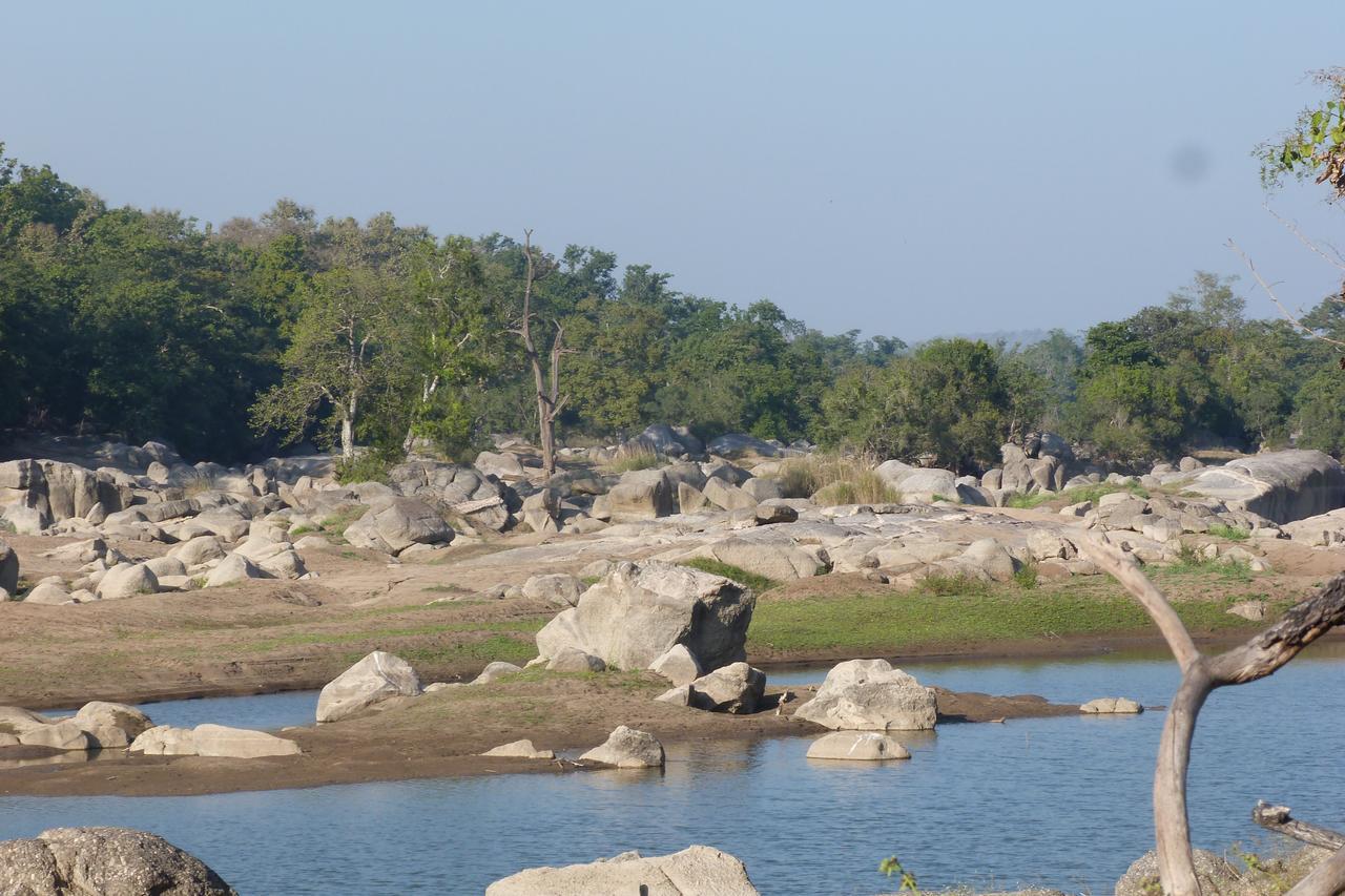 The Riverwood Forest Retreat Pench Khawāsa Екстериор снимка